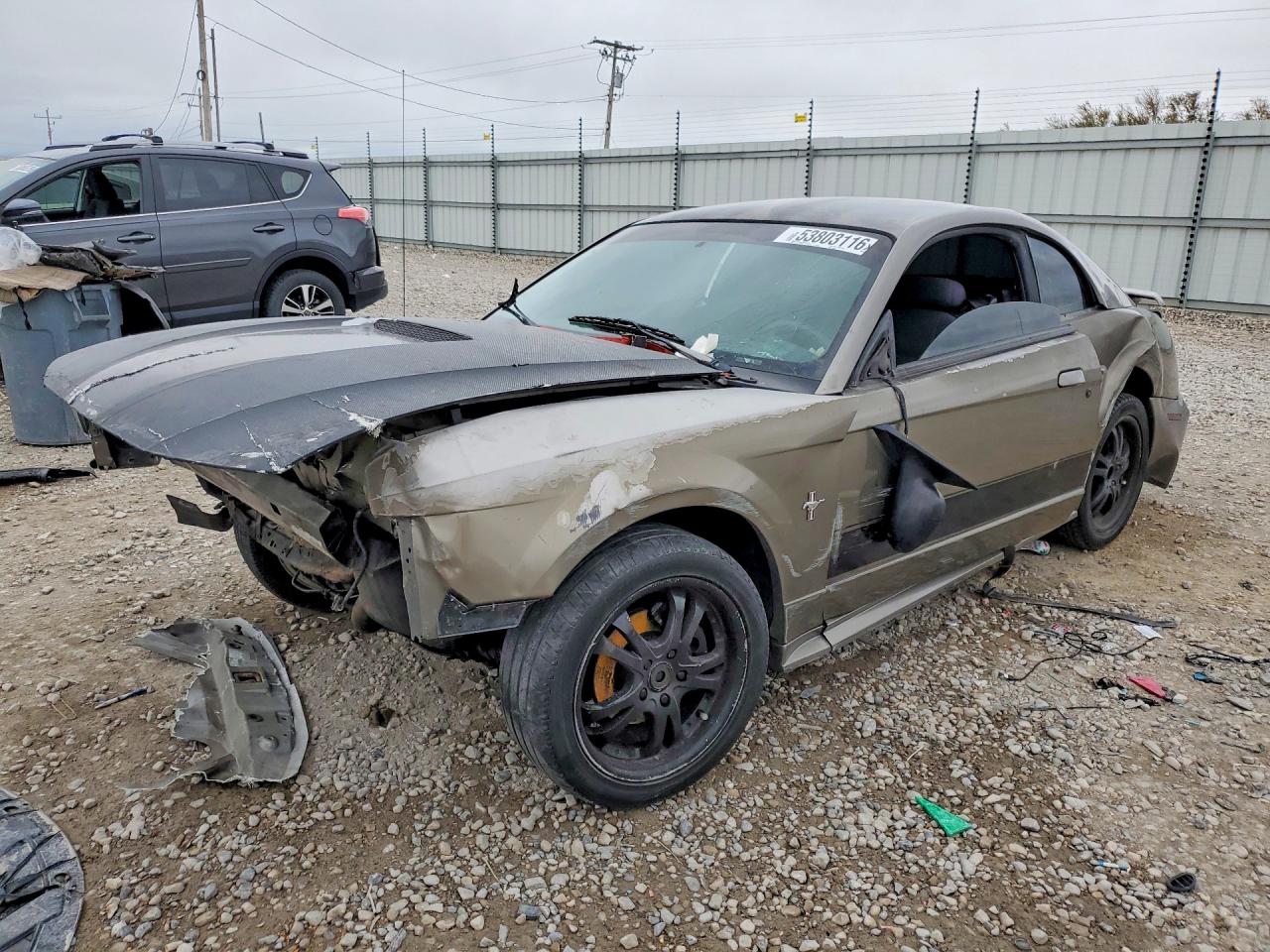 Salvage Ford Mustang Image