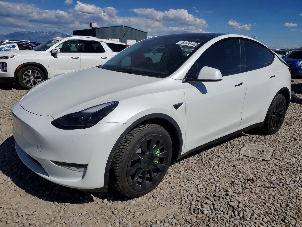 Salvage Tesla Model Y Image