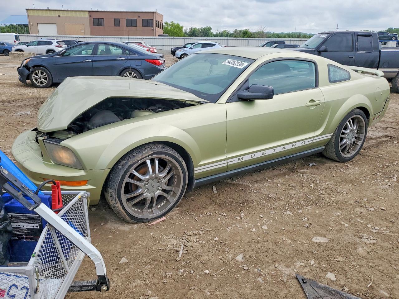 Salvage Ford Mustang Image