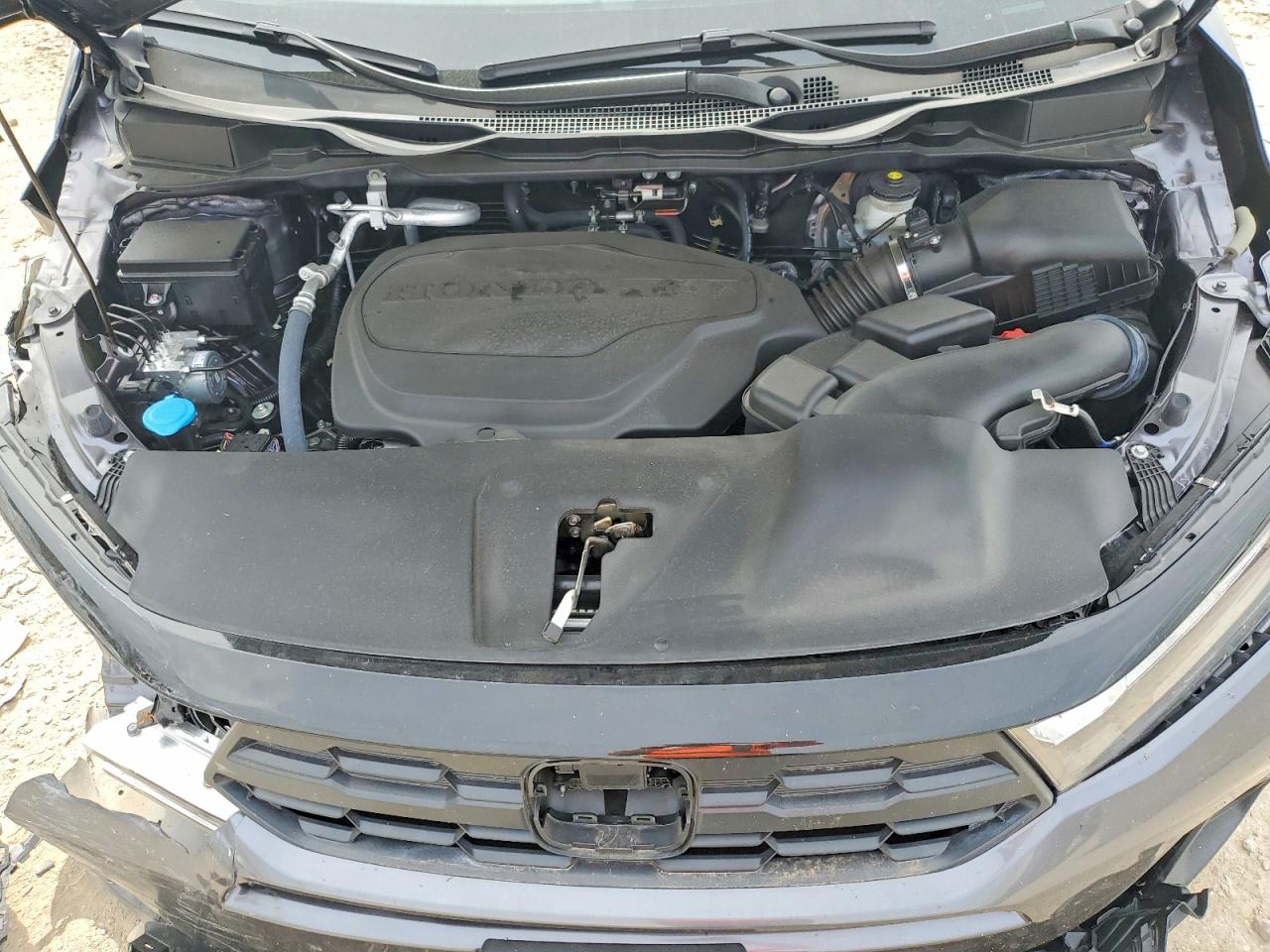 Honda Odyssey Exl
