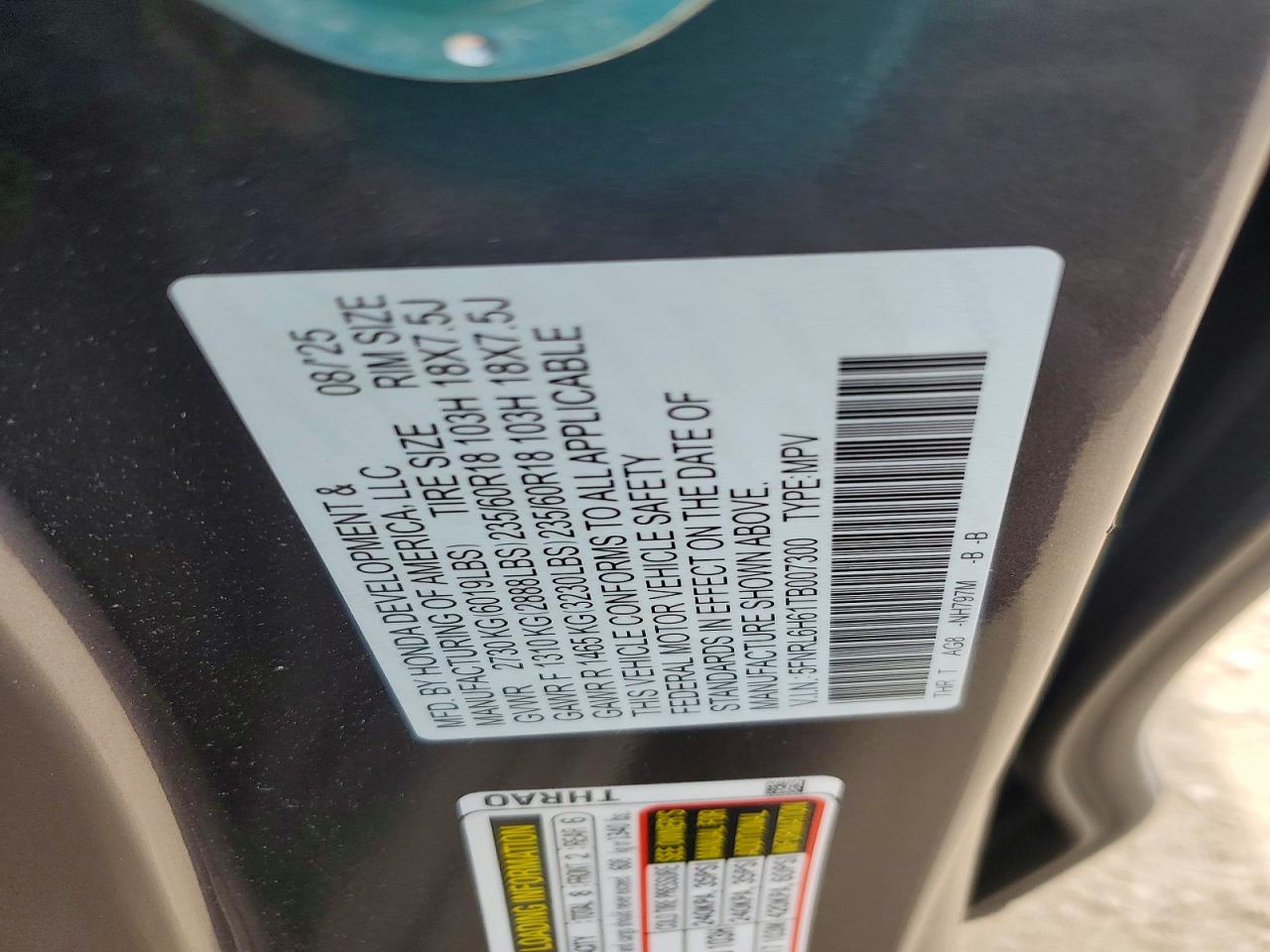 Honda Odyssey Exl