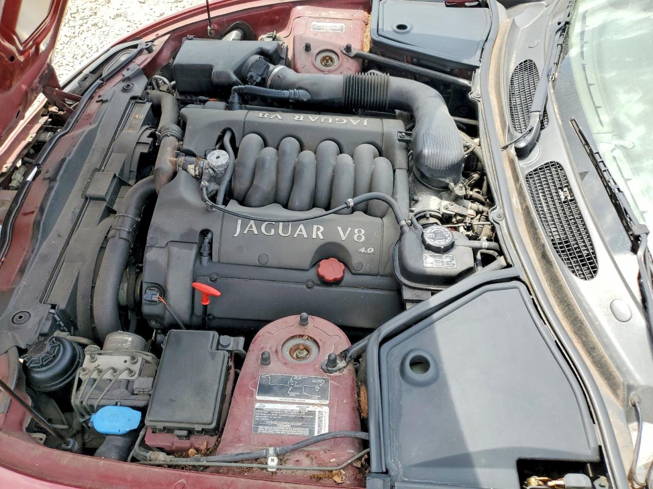 Jaguar Xk8