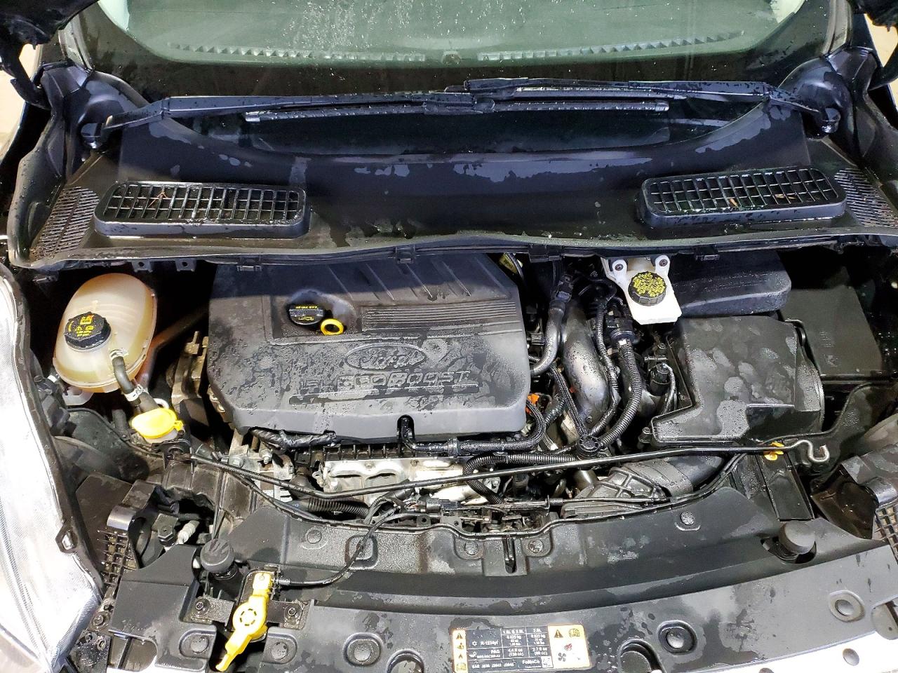Ford Escape Se