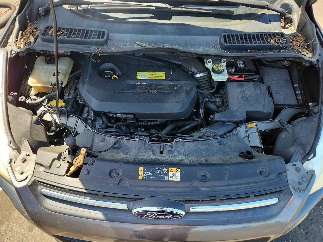 Ford Escape Se