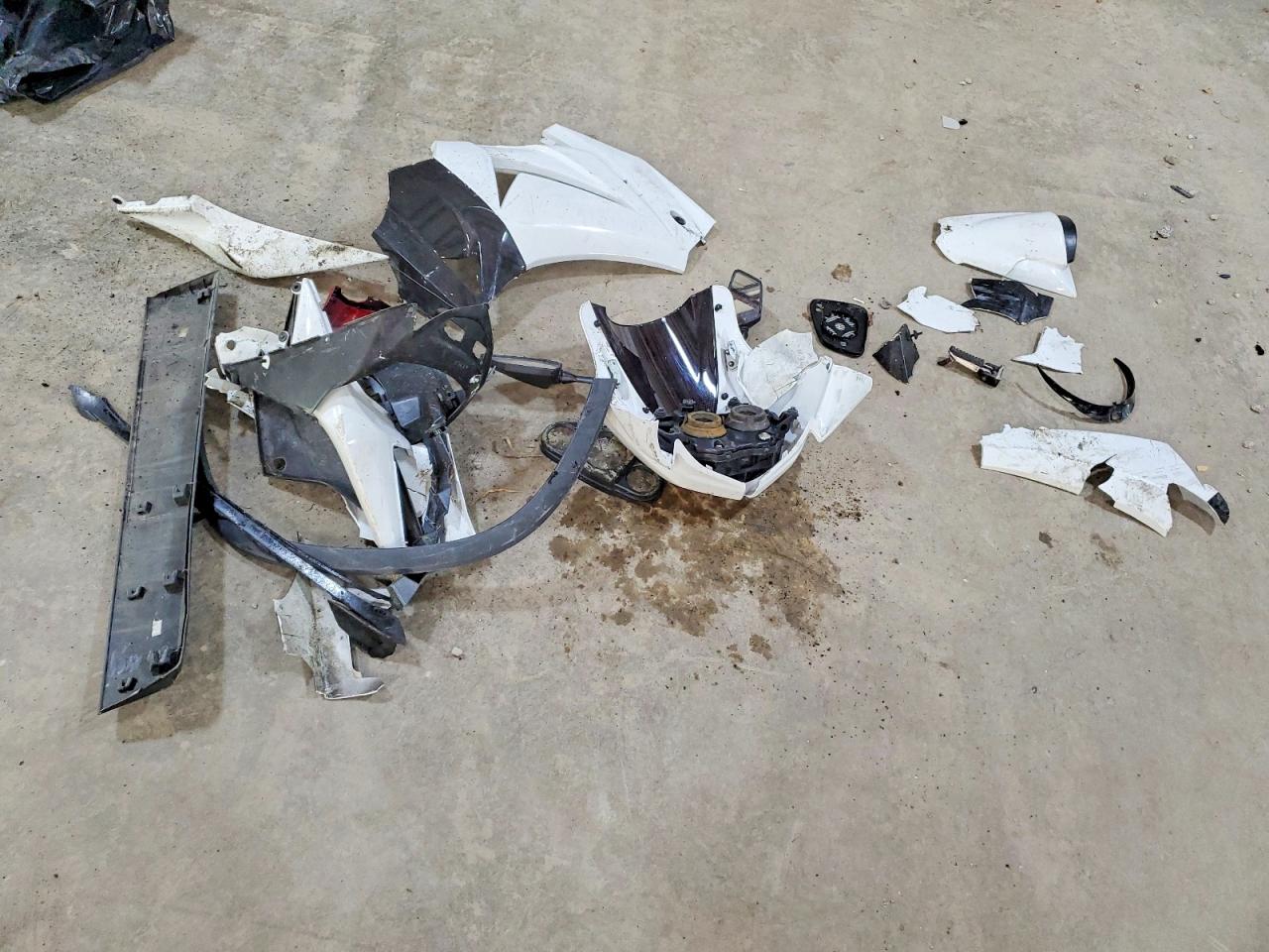 Kawasaki Ninja 250 J