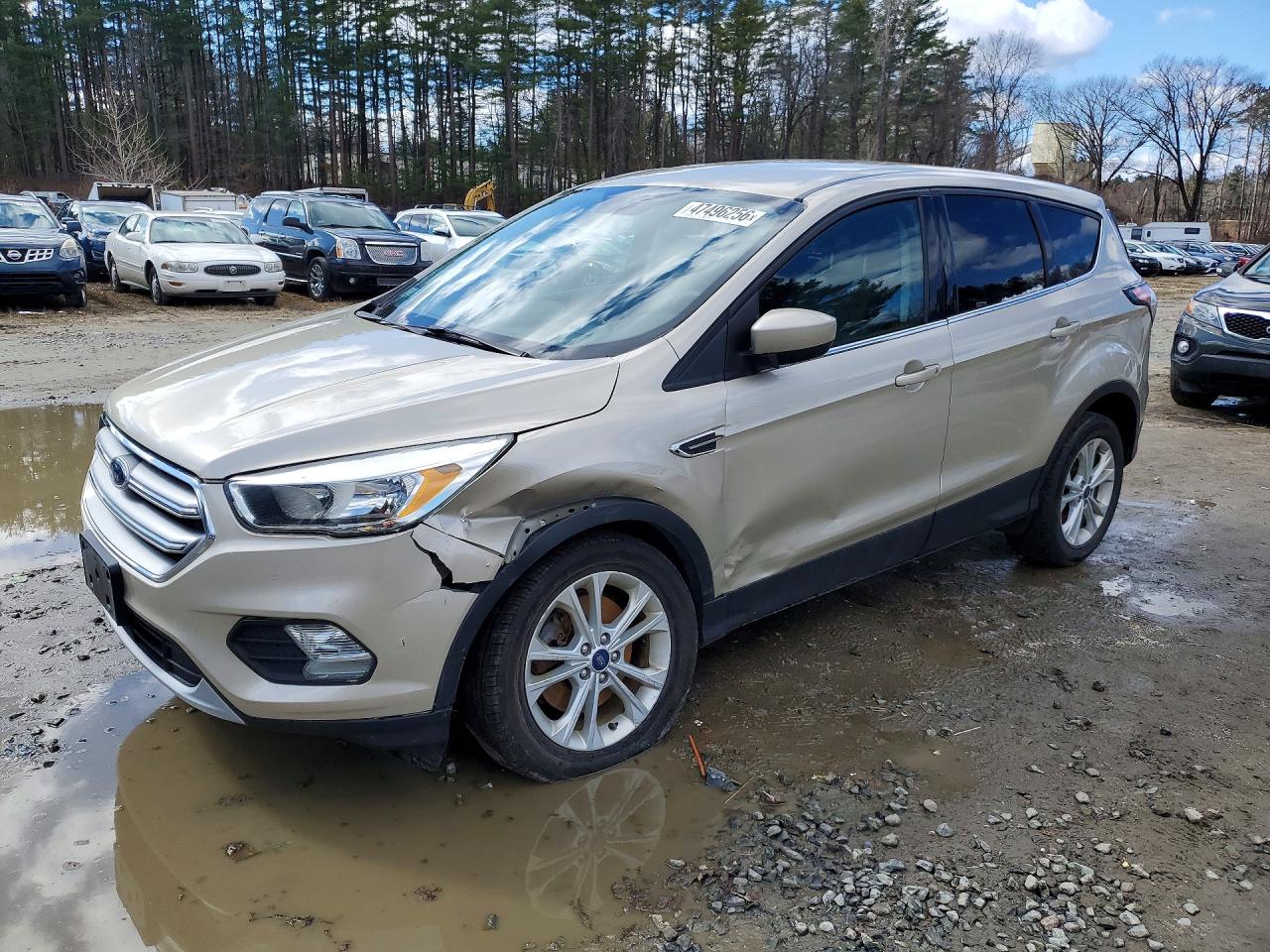 Salvage Ford Escape Image