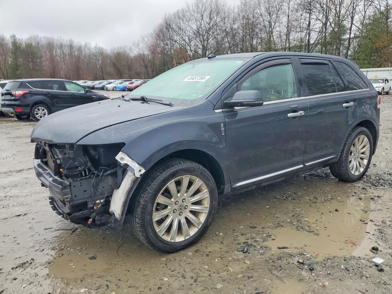 Salvage Lincoln MKX Image