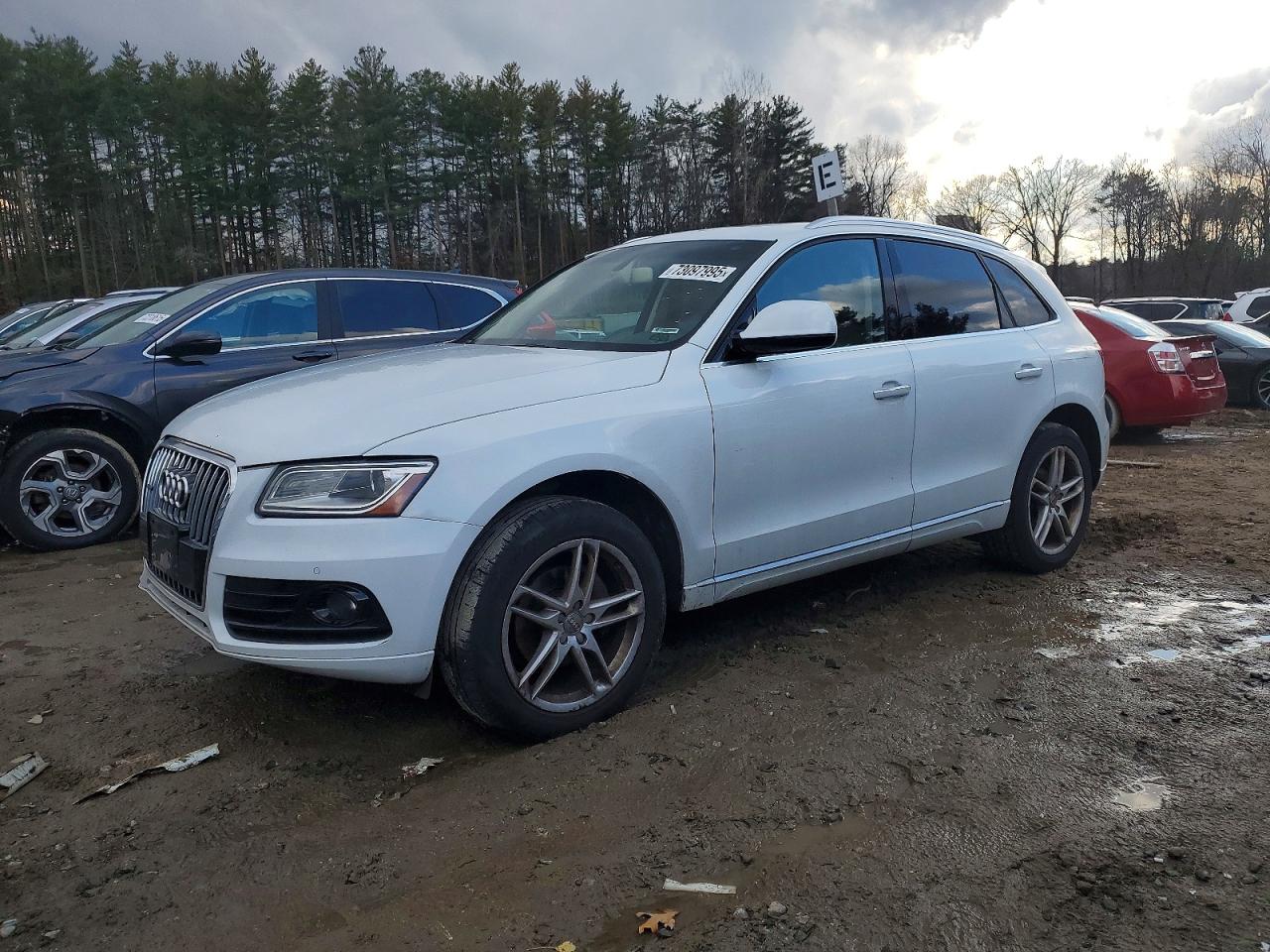 2017 Audi Q5 WA1C2AFP1HA******