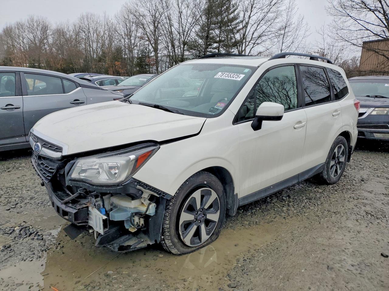 Salvage Subaru Forester Image