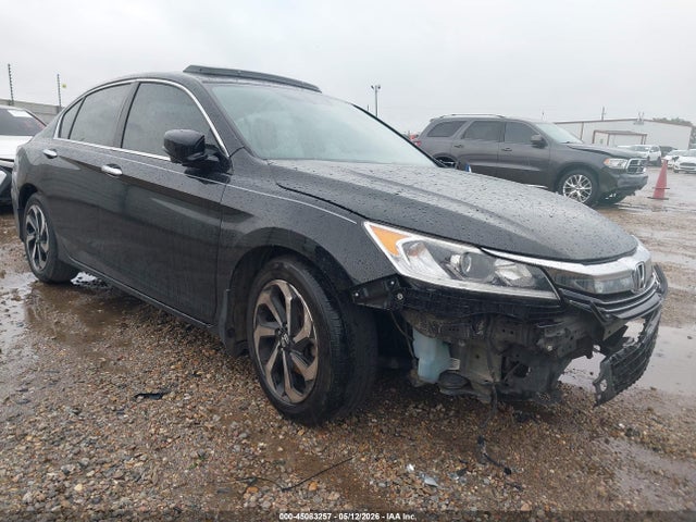 Salvage Honda Accord Image