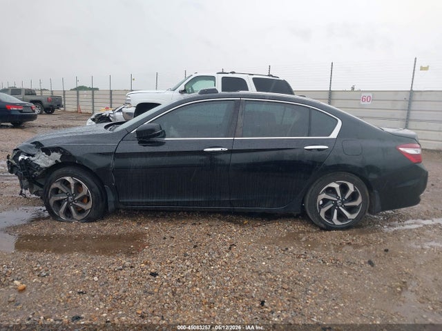 Honda Accord Ex-l