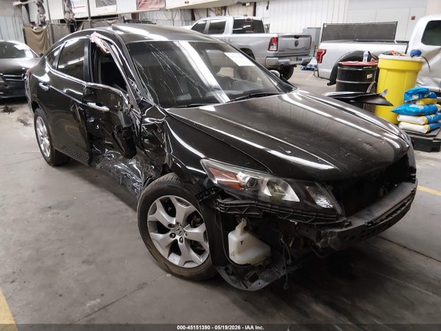 Salvage Honda Crosstour Image