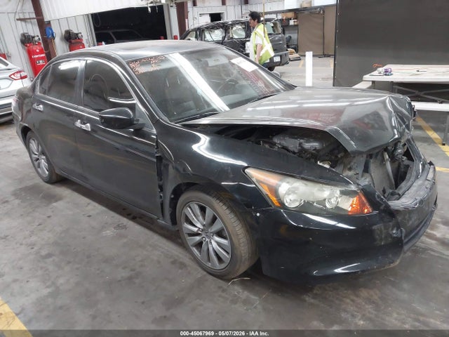 Salvage Honda Accord Image