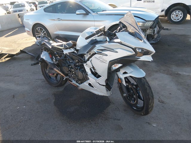 Kawasaki Ex500