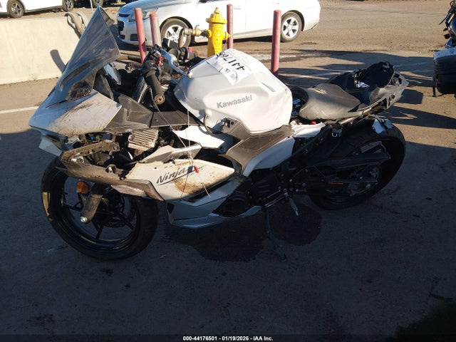 Kawasaki Ex500