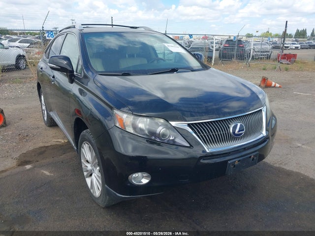 Salvage Lexus RX Image