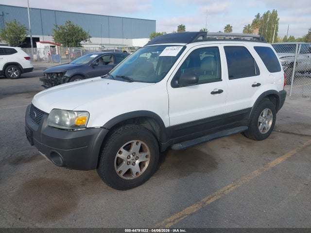 Ford Escape Xlt