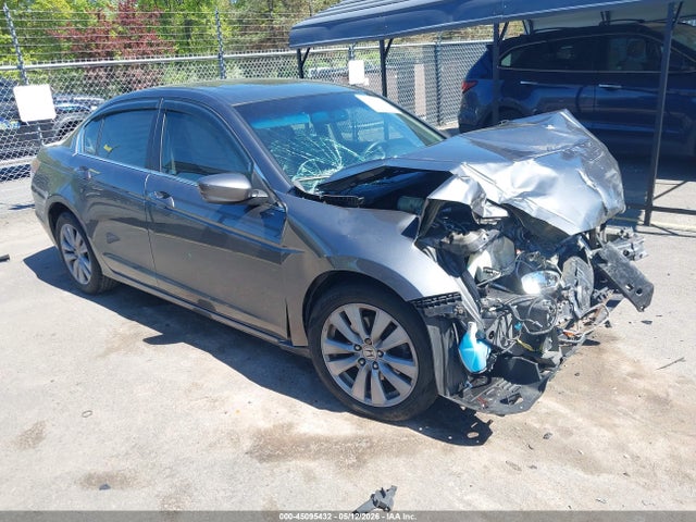 Salvage Honda Accord Image