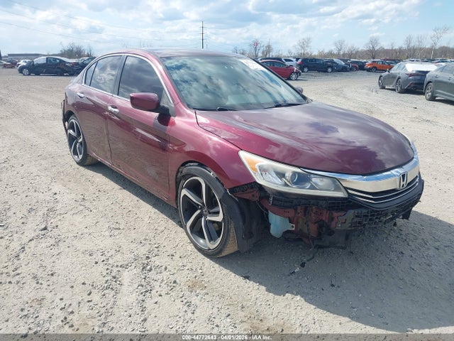 Salvage Honda Accord Image