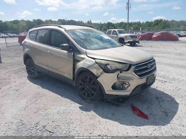 Salvage Ford Escape Image