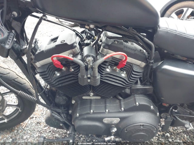 Harley-Davidson Xl883 N