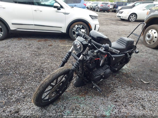 Harley-Davidson Xl883 N