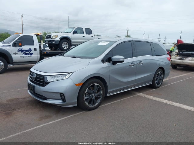 Honda Odyssey Elite