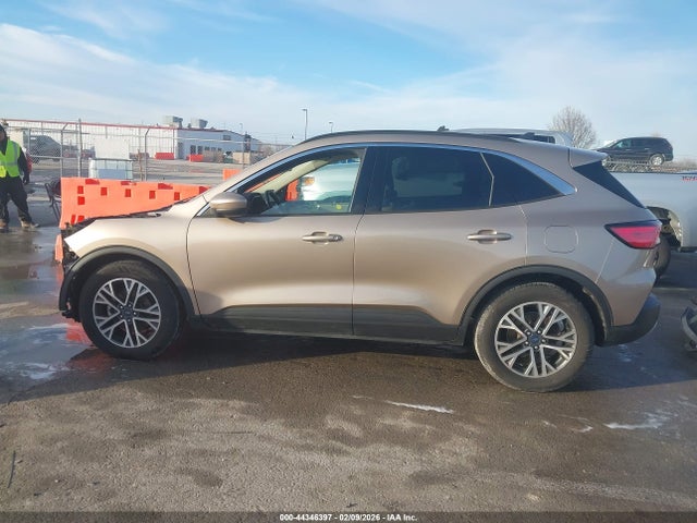 Ford Escape Sel