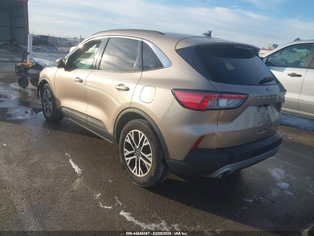 Ford Escape Sel