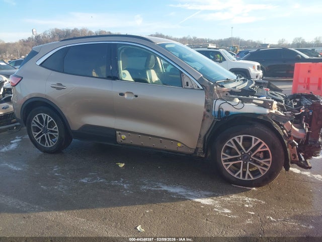 Salvage Ford Escape Image