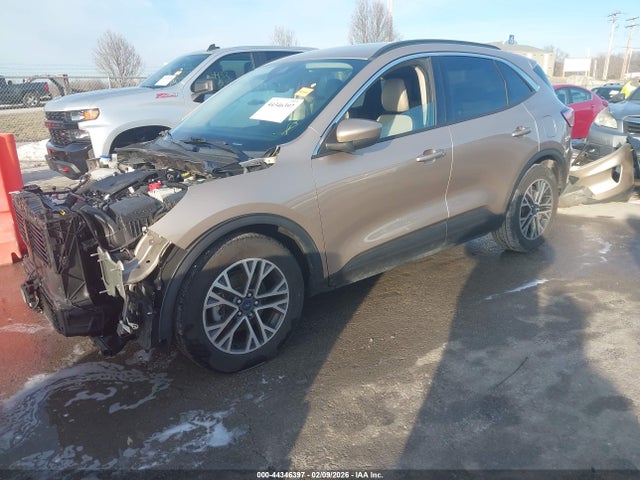 Ford Escape Sel