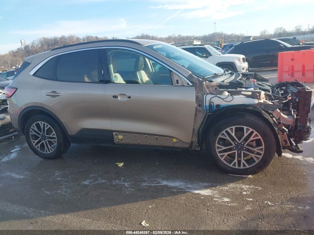 Ford Escape Sel