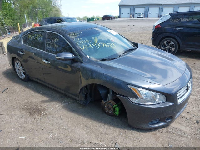 Salvage Nissan Maxima Image
