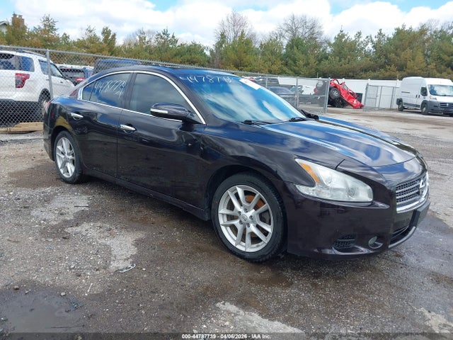 Salvage Nissan Maxima Image