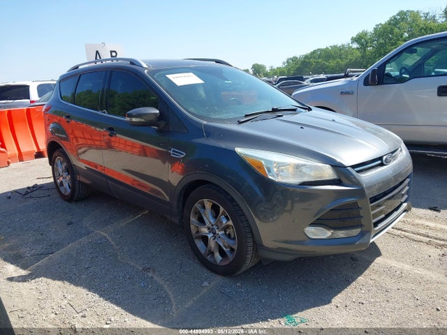 Salvage Ford Escape Image