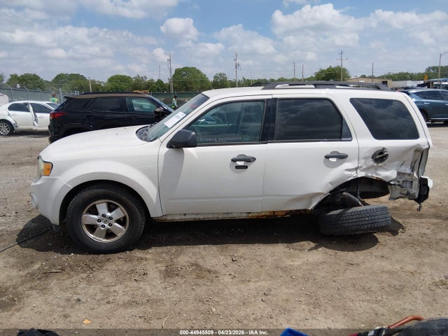 Ford Escape Xlt