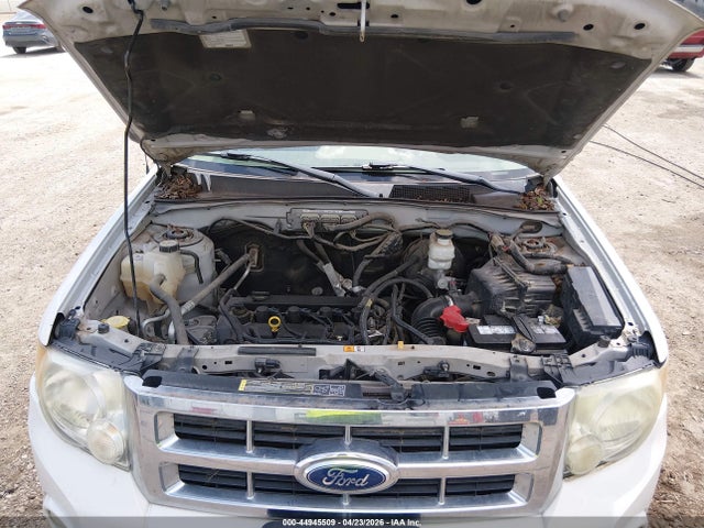 Ford Escape Xlt
