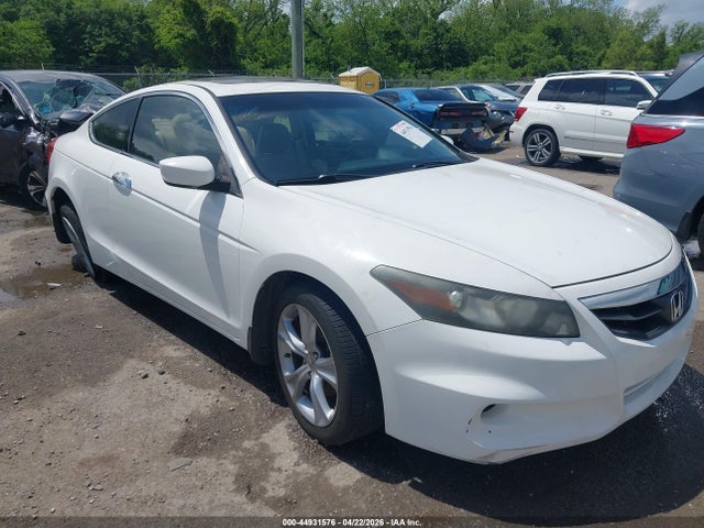 Salvage Honda Accord Image