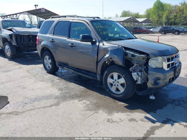 Salvage Ford Escape Image