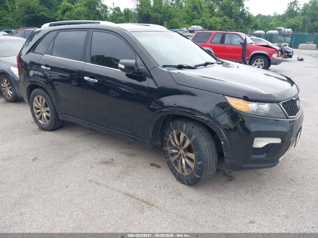 Salvage Kia Sorento Image