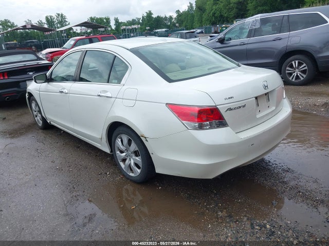 Honda Accord 3.5 Ex-l