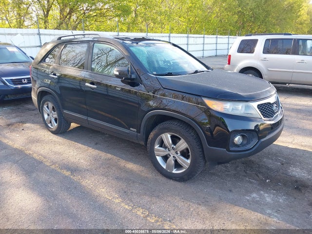 Salvage Kia Sorento Image