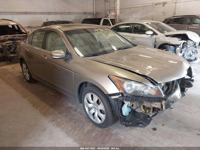 Salvage Honda Accord Image