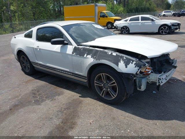 Salvage Ford Mustang Image