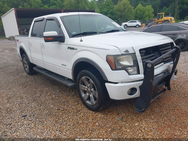 Salvage Ford F-150 Image