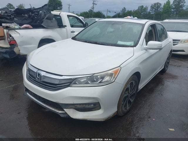 Honda Accord Ex-l V-6