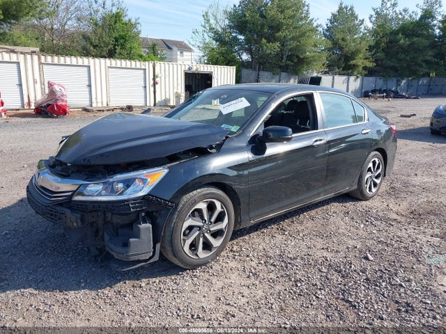 Honda Accord Ex-l