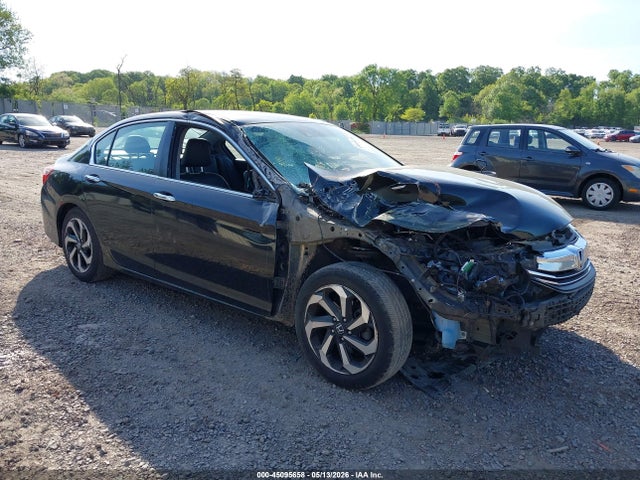 Salvage Honda Accord Image