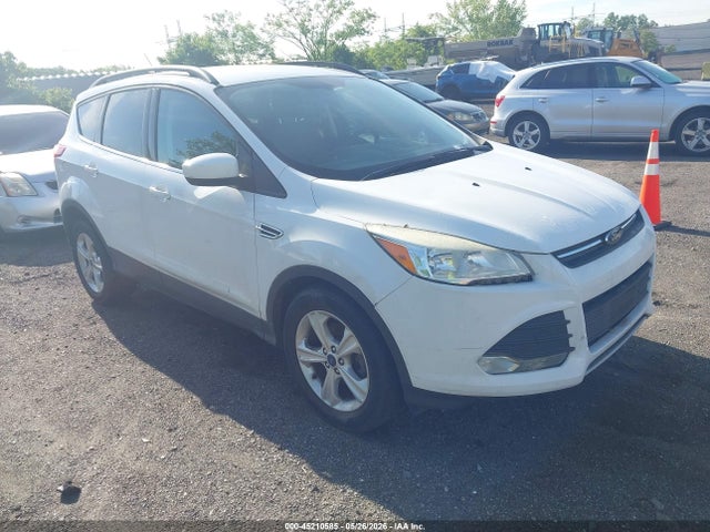 Salvage Ford Escape Image