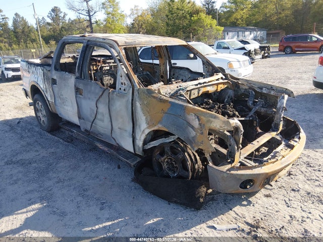 Salvage Ford F-150 Image